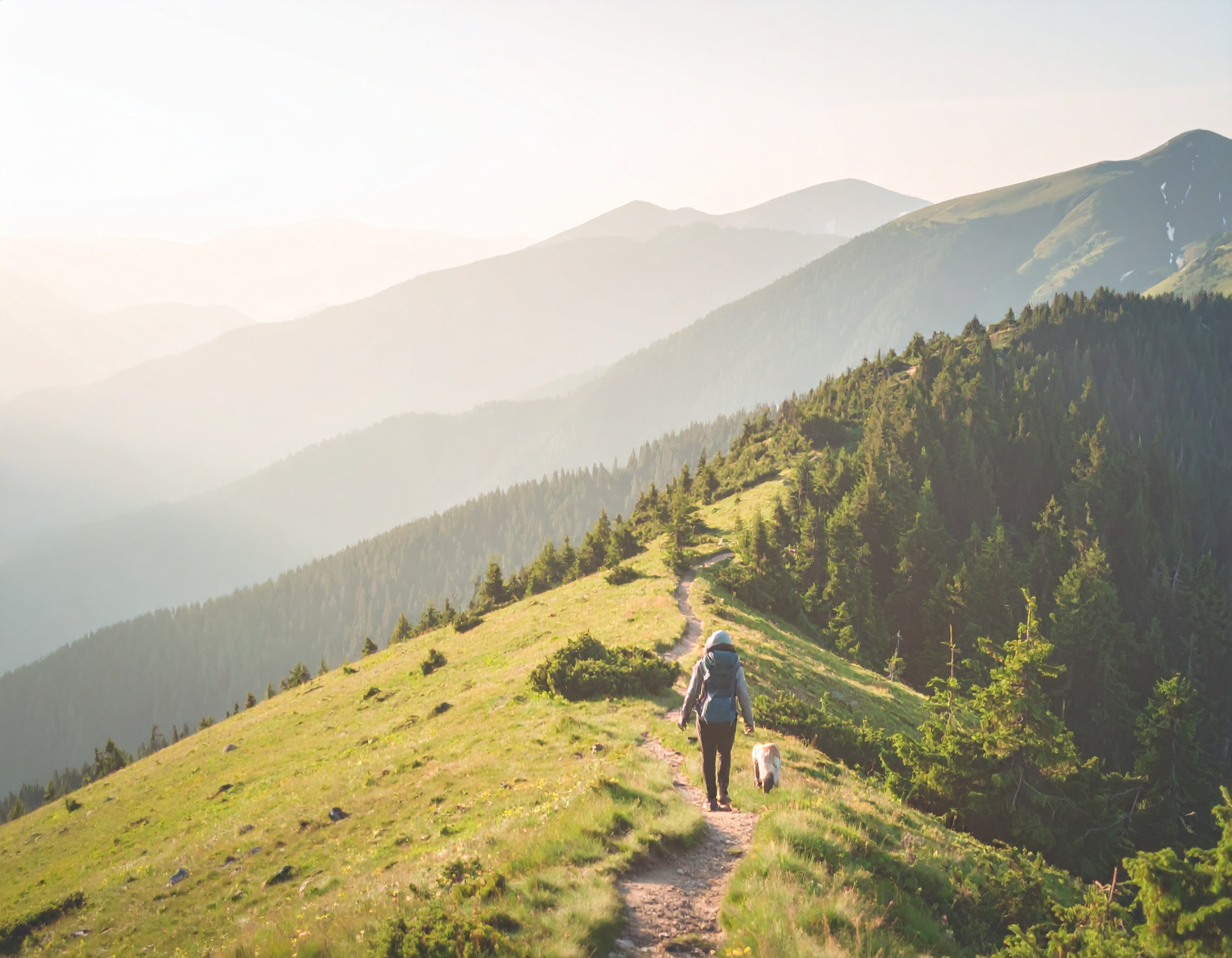 Eine Person mit Rucksack geht mit einem Hund einen schmalen Bergpfad entlang, umgeben von grünen Hügeln und fernen Gipfeln unter einem dunstigen Himmel.