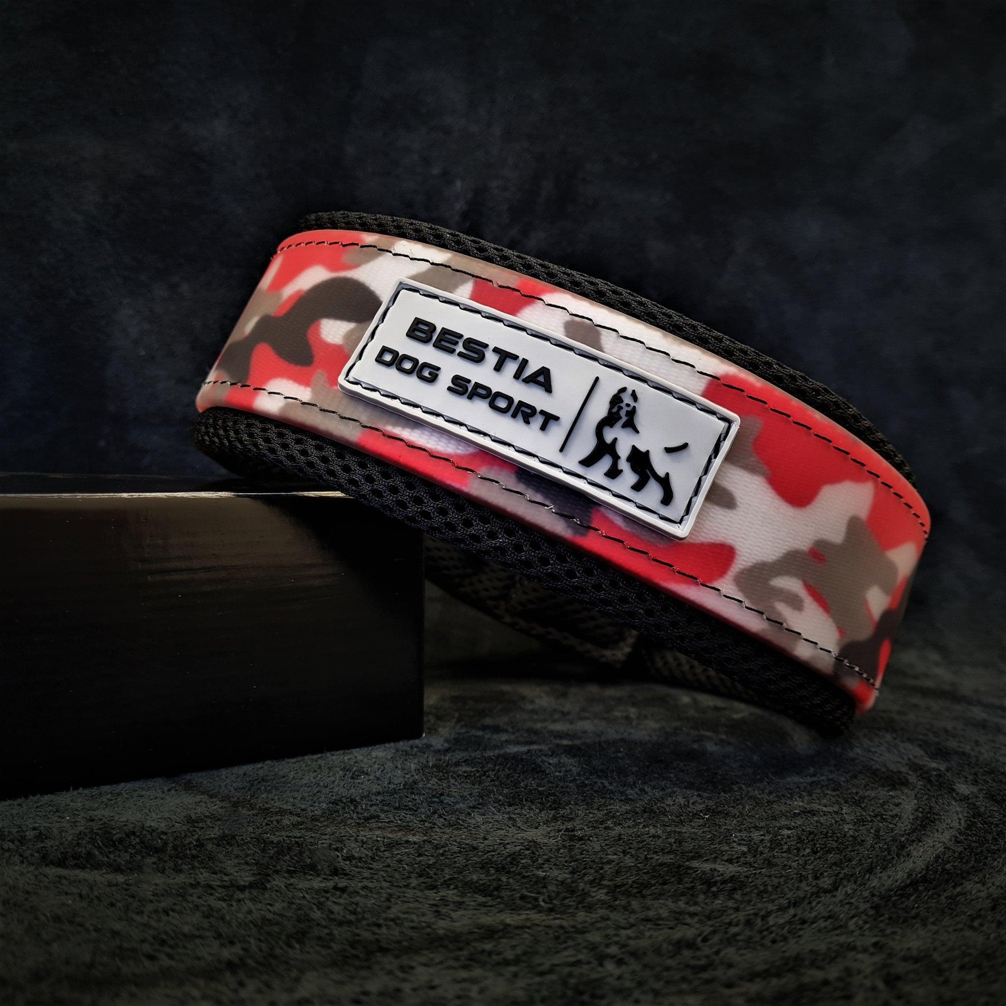 Das Hundehalsband BESTIA DOG SPORT – BDS Halsband Red Camo mit Edelstahlbeschlägen und der Aufschrift „BESTIA DOG SPORT“ ist auf dunklem Hintergrund abgebildet.